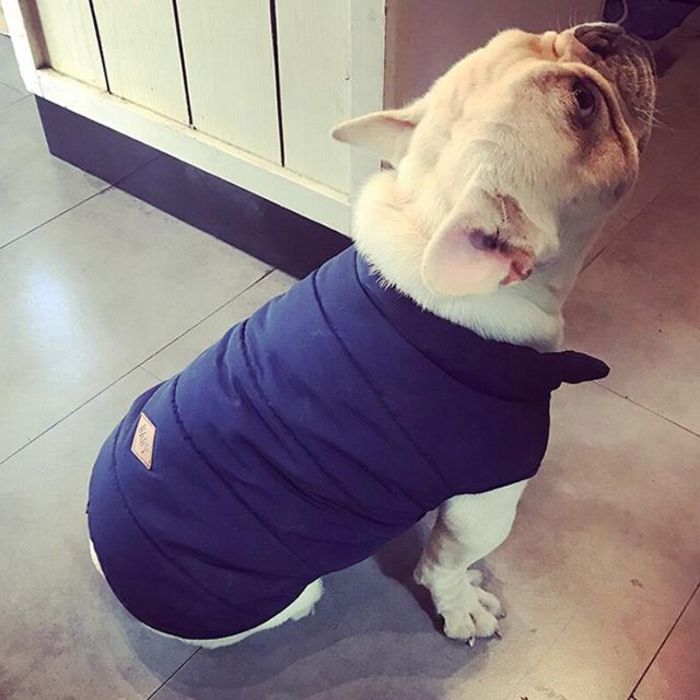 classic winter pet parka