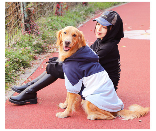 Winter Dog Coat