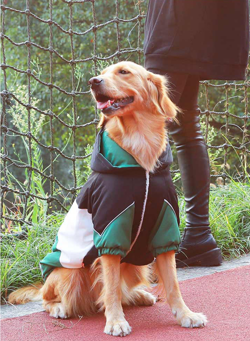 Winter Dog Coat