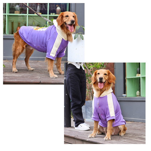 puppy hoodie