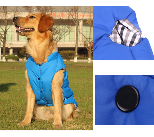 quilted dog coat