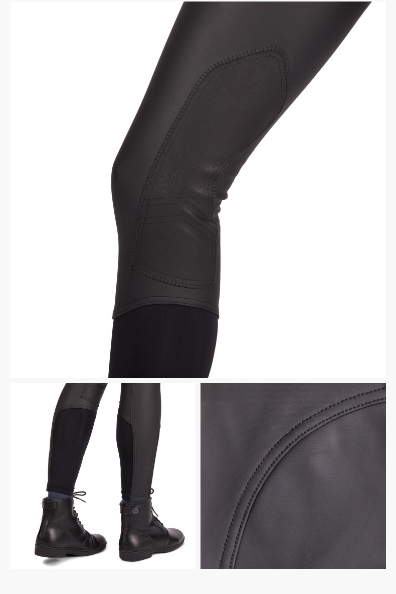 riding horse breeches