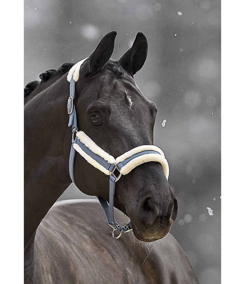horse gear supplier