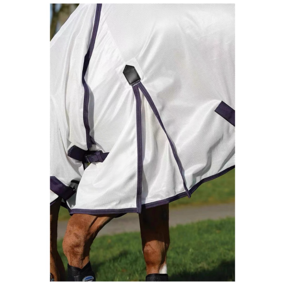 horse blanket