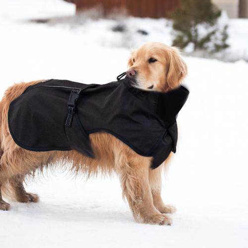 Pet Coat