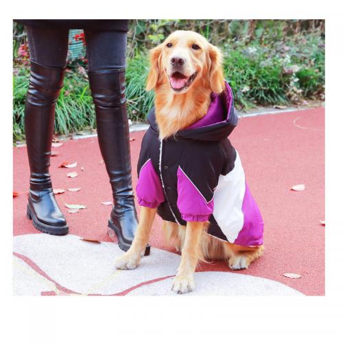 pet clothing