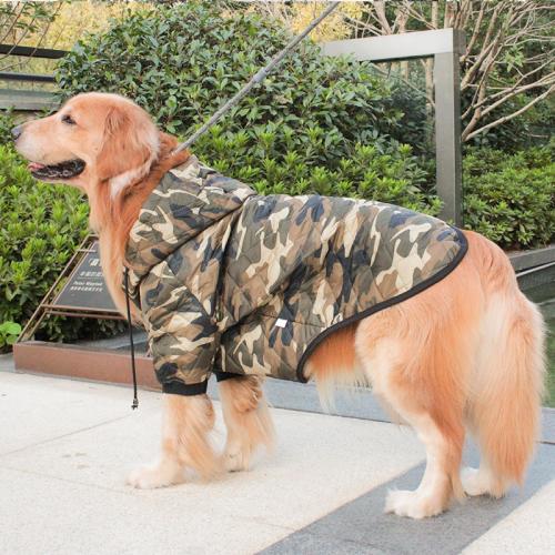 Padding Dog Coat