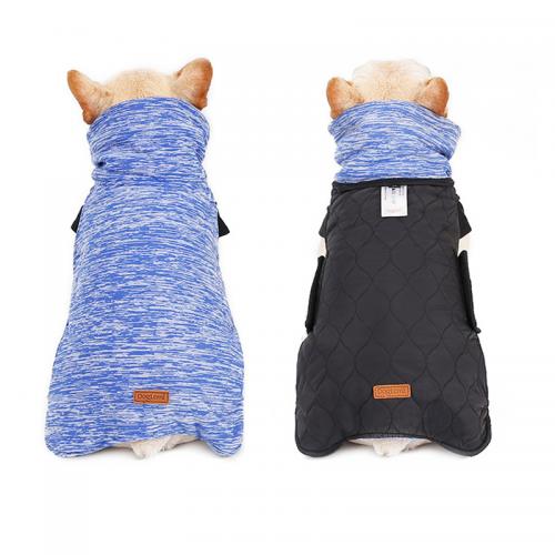 dog winter coat