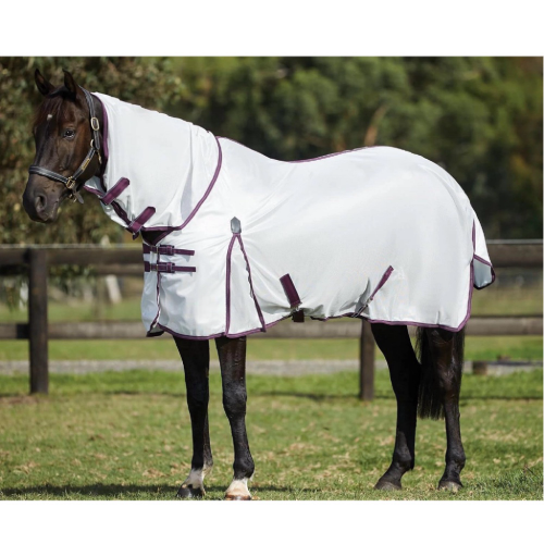 Horse Sheet