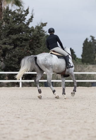 Our top tips: Keep warm in the stable